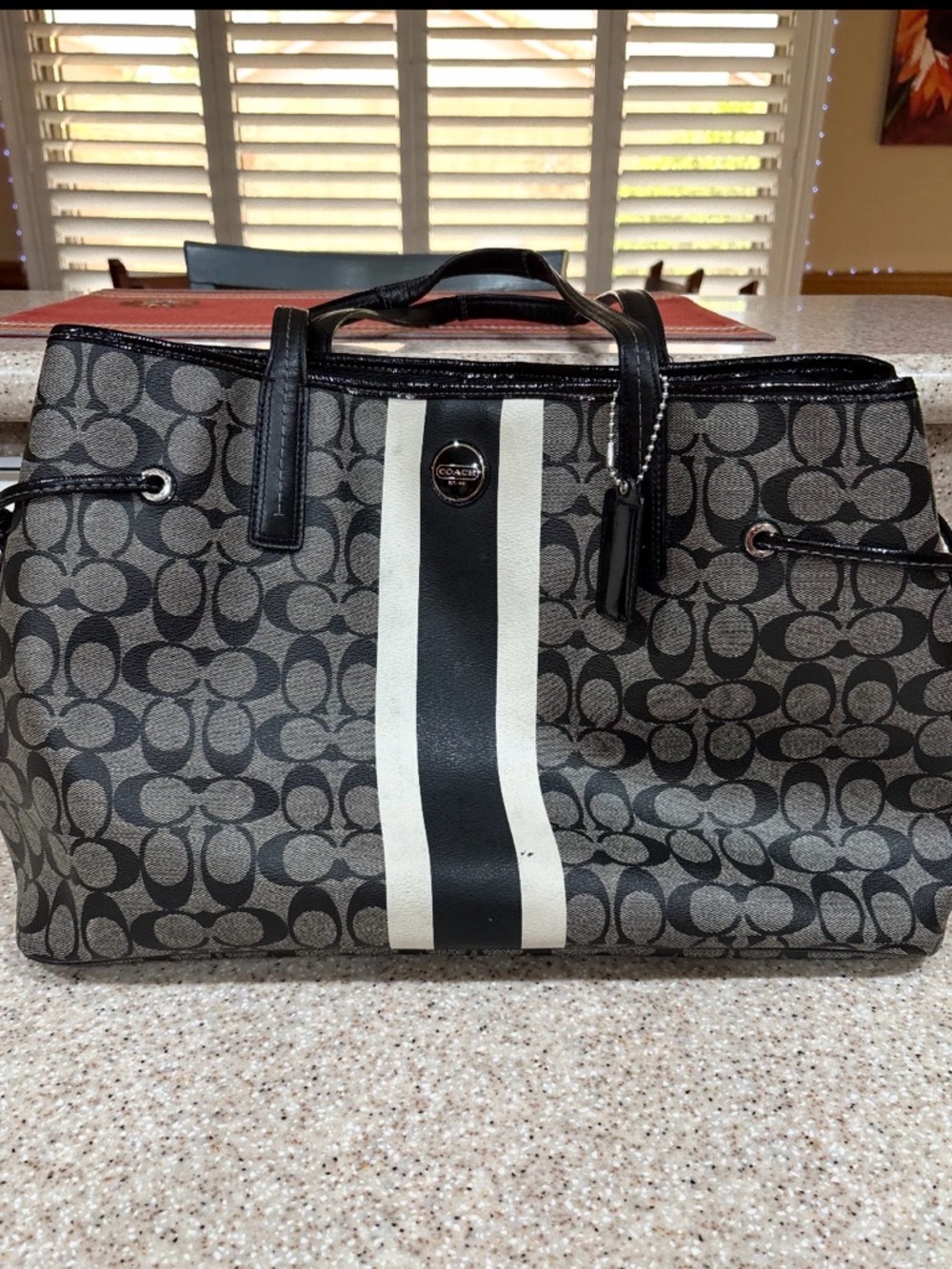 Vintage Coach Gray Signature Canvas Tote with Black & White Racing Stripe